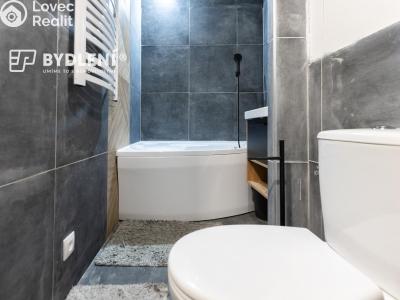 Prodej bytu 2+1 Chomutov, Palackého 4272 č. 17