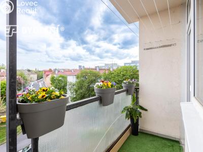 Prodej bytu 2+1 Chomutov, Palackého 4272 č. 19