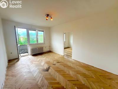 Sale apartment 2+1 Šternberk, Nádražní č. 2
