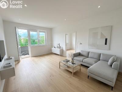 Sale apartment 2+1 Šternberk, Nádražní č. 3