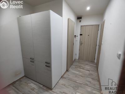 Pronájem bytu 2+1 Chomutov, Dřínovská č. 4