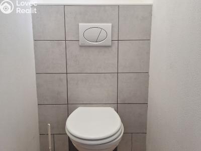 Pronájem obchodního prostoru Rostoklaty č. 4