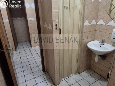 Prodej restaurace Všestary č. 19