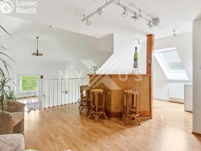 Продаж сімейного будинку Štěchovice, V Pískovně 314 č. 28