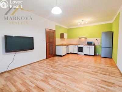 Pronájem bytu 2+KK Týn nad Vltavou, Hlinecká č. 14