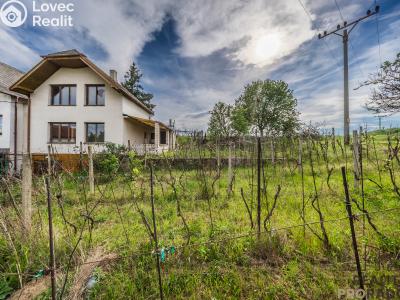 Sale wine cellar Skoronice č. 6