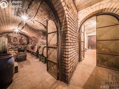 Sale wine cellar Skoronice č. 32