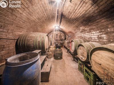 Sale wine cellar Skoronice č. 36