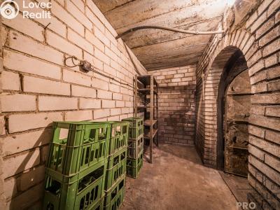 Sale wine cellar Skoronice č. 37