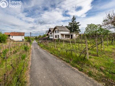 Prodej vinného sklepa Skoronice č. 11