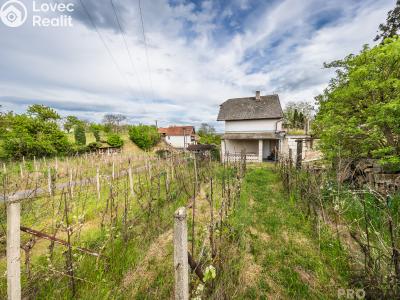 Prodej vinného sklepa Skoronice č. 14