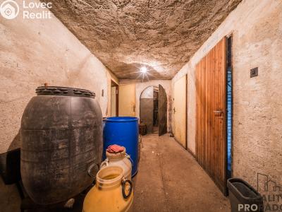 Prodej vinného sklepa Skoronice č. 38