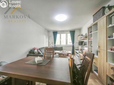 Pronájem bytu 3+1 Týn nad Vltavou, Orlická 431 č. 4