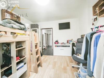 Pronájem bytu 3+1 Týn nad Vltavou, Orlická 431 č. 9