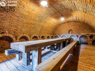 Sale wine cellar Novosedly č. 3