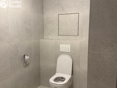 Аренда квартиры 2+KK Třebíč, Modřínová 493 č. 8