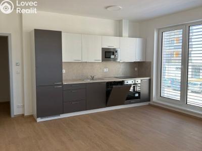 Аренда квартиры 2+KK Třebíč, Modřínová 493 č. 12