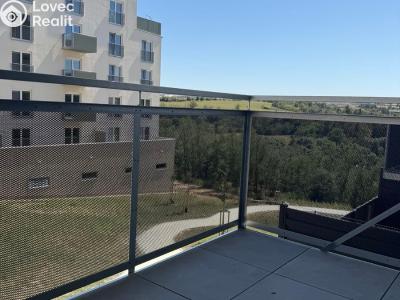 Аренда квартиры 2+KK Třebíč, Modřínová 493 č. 13