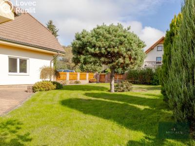 Продаж сімейного будинку Rokycany, K Potoku 1153 č. 4