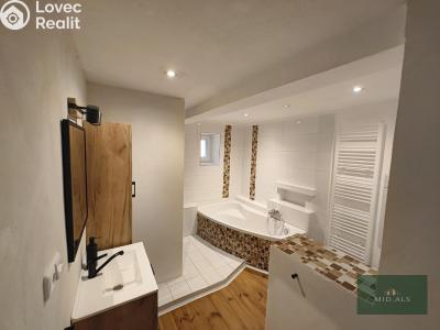 Sale family house Bor č. 6