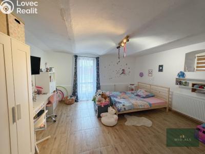 Sale family house Bor č. 12