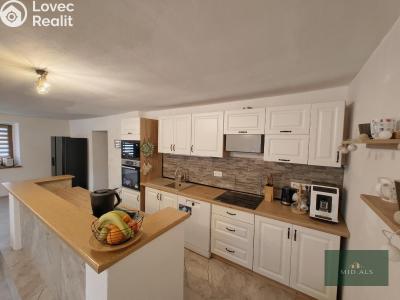 Sale family house Bor č. 17