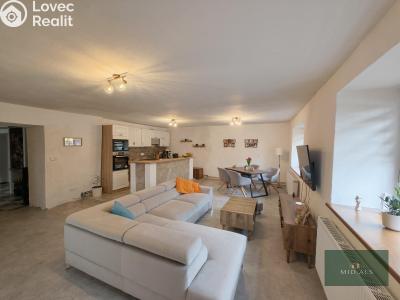 Sale family house Bor č. 18