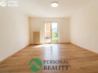 Rent apartment 2+1 Horní Slavkov, Zahradní č. 1