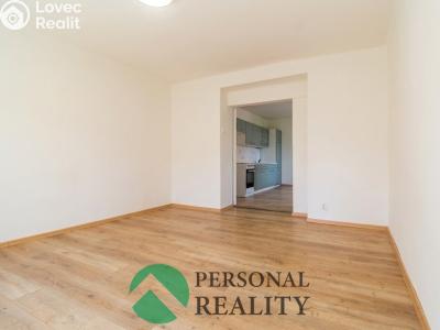 Rent apartment 2+1 Horní Slavkov, Zahradní č. 7