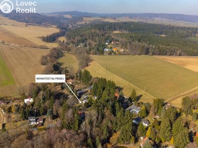 Продаж хатини Stříbrná Skalice č. 13