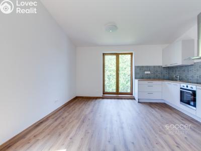 Rent apartment 3+KK Praha, Třebešovská č. 3
