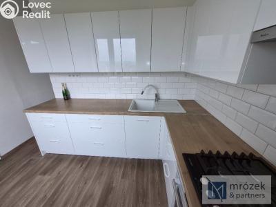 Sale apartment 3+1 Český Těšín, Zelená č. 3