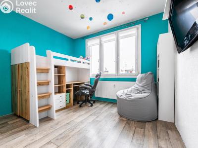 Prodej bytu 2+1 Planá, Fučíkova č. 7