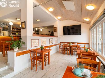 Sale commercial parcel Světlík č. 18