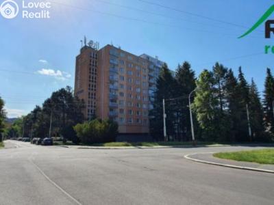 Rent apartment 2+1 Úšovice, Školní náměstí č. 13