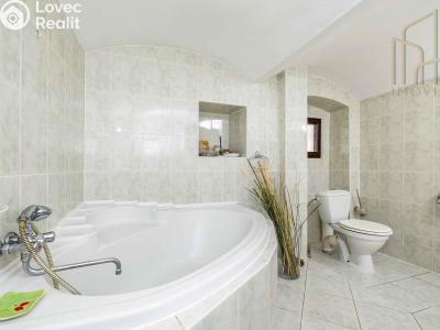 Sale hut Lubenec č. 18