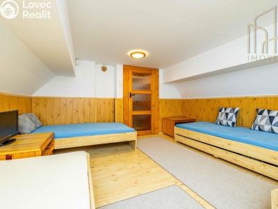 Sale hut Lubenec č. 31