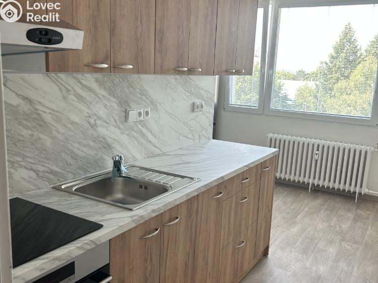 Продаж квартири 1+1 Lázně Bohdaneč, Na Lužci 510 č. 1