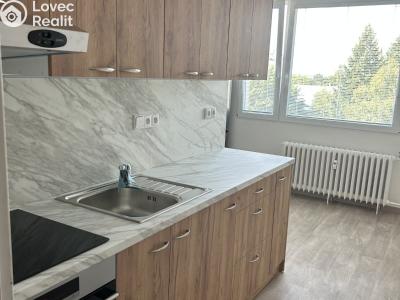 Prodej bytu 1+1 Lázně Bohdaneč, Na Lužci 510 č. 1