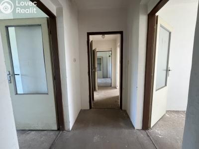 Prodej rodinného domu Nová Paka, Na Vyhlídce 917 č. 11