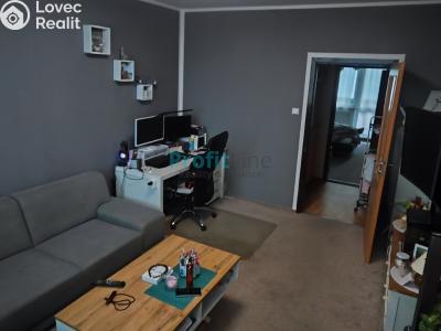 Pronájem bytu 2+1 Zábřeh, Severovýchod č. 2