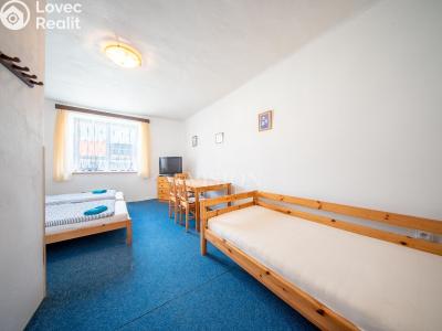 Prodej ubytovacího zařízení Černá v Pošumaví č. 8