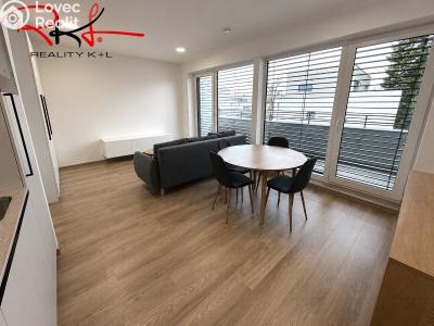 Rent apartment 1+KK Mladá Boleslav, Nad Červenkou č. 7
