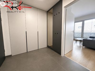 Rent apartment 1+KK Mladá Boleslav, Nad Červenkou č. 8