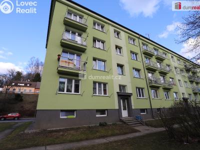 Оренда квартири 1+KK Kraslice, Pohraniční stráže č. 18