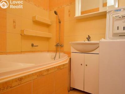 Rent apartment 3+1 Olomouc, Mišákova č. 11