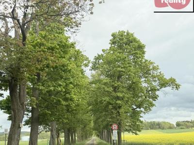 Prodej rodinného domu Odrava č. 29