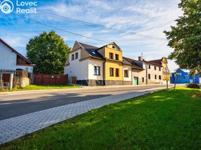 Sale family house Slapy č. 1