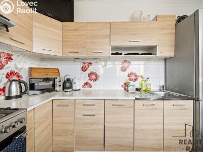 Sale apartment 3+1 Hodonín, Šumná č. 1
