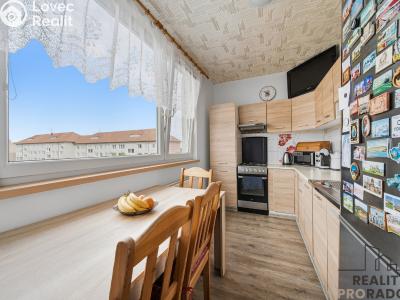 Sale apartment 3+1 Hodonín, Šumná č. 2
